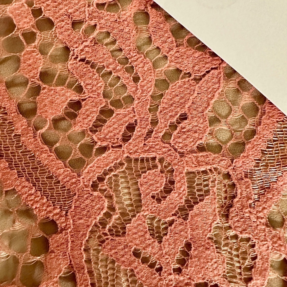 WAYF, WOMENS, NWT, ROSE, LACE SHORTS WITH NUDE UNDERLAY. SIZE XS - Picture 5 of 8